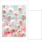 Dahlia Flowers by Assaf Frank